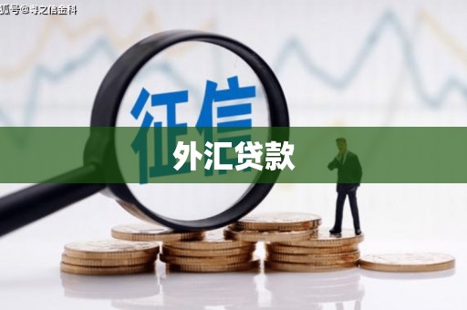 榆次外汇贷款