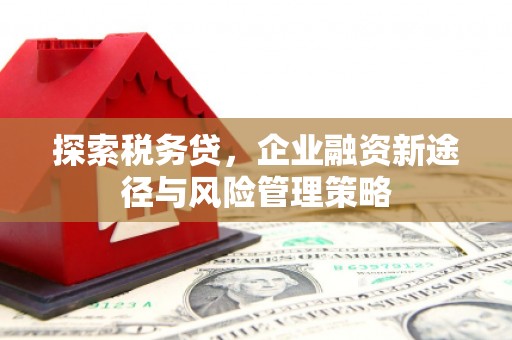 榆次探索税务贷，企业融资新途径与风险管理策略