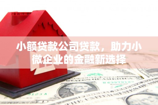 榆次小额贷款公司贷款，助力小微企业的金融新选择