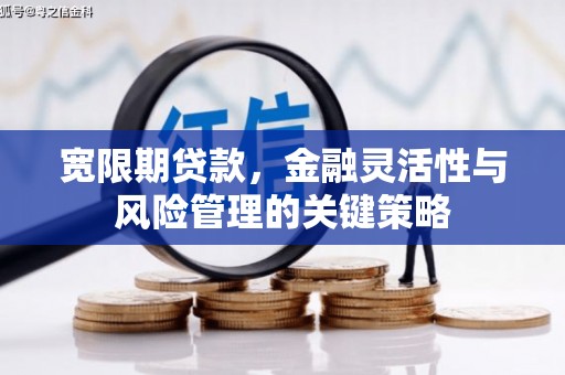 榆次宽限期贷款，金融灵活性与风险管理的关键策略