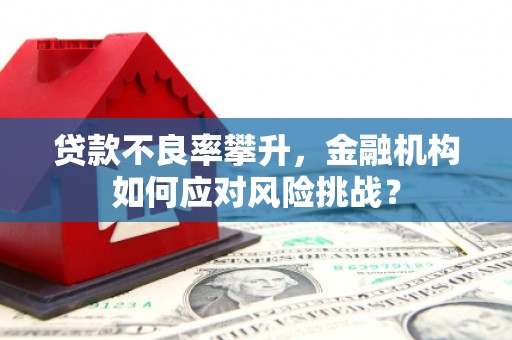 榆次贷款不良率攀升，金融机构如何应对风险挑战？