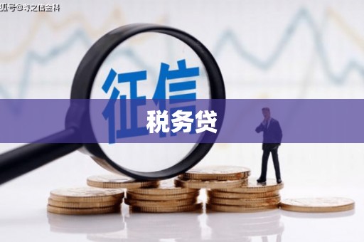 榆次税务贷