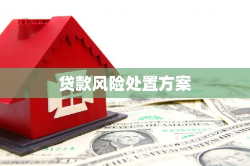 榆次贷款风险处置方案