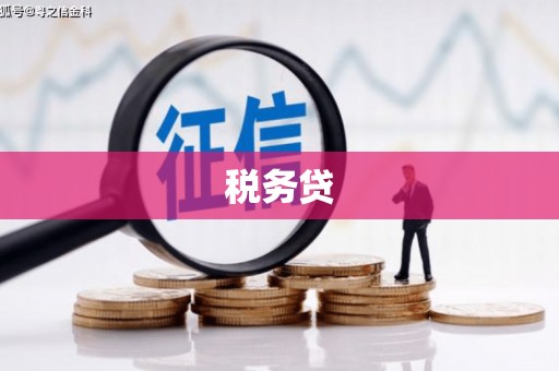 榆次税务贷