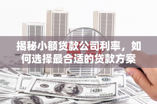 榆次揭秘小额贷款公司利率，如何选择最合适的贷款方案