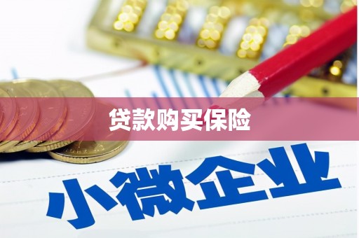 榆次贷款购买保险